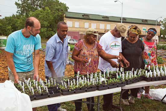 Backyard farmers in Detroit, the locus of urban agriculture, attend a seedling distribution.